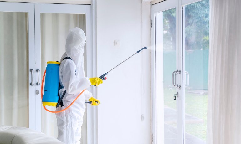 Disinfection service