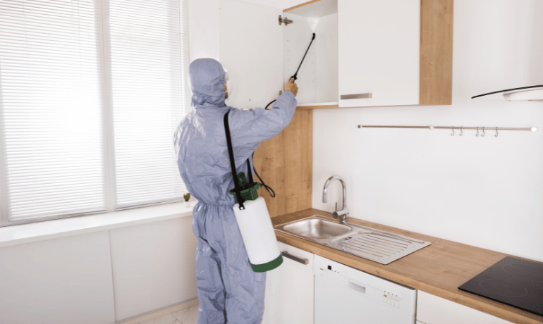 Cockroach removal service in dhaka